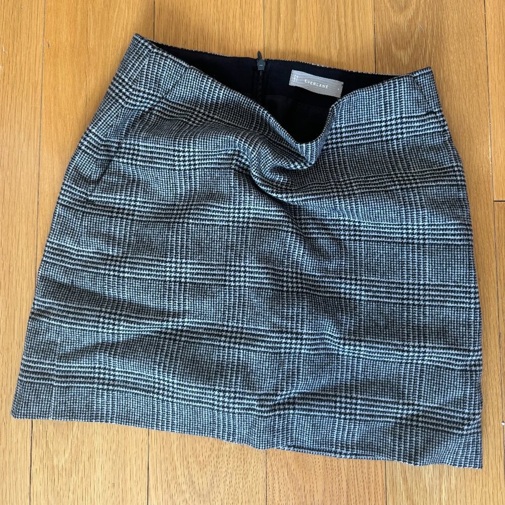 Everlane Winter Wool Skirt